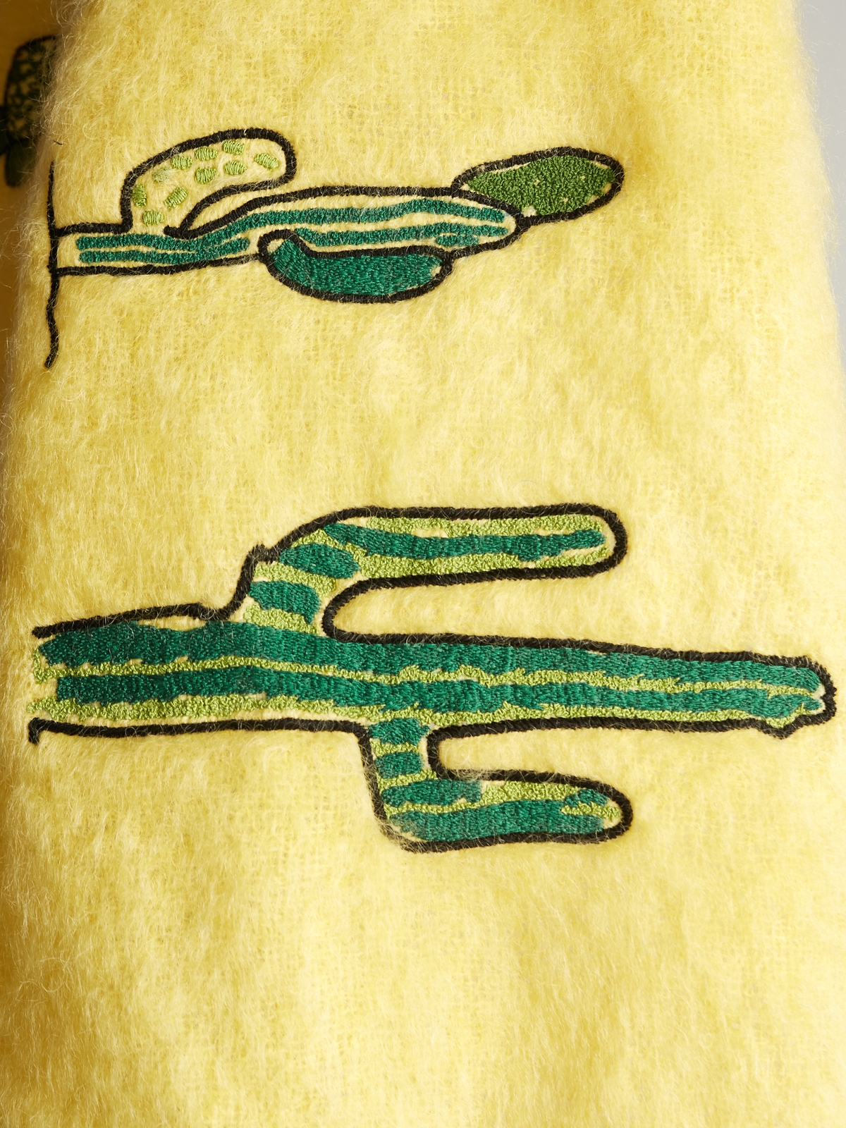 Cactus