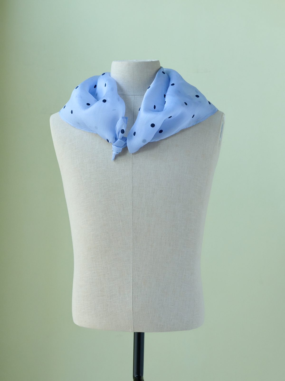 Navy dots on blue