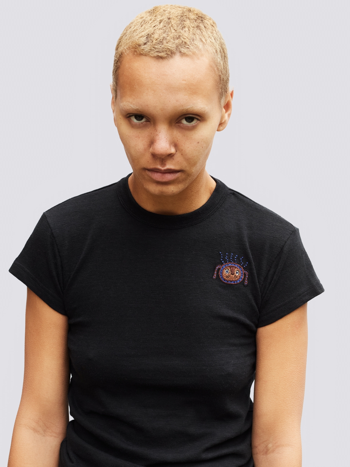 Arctic T