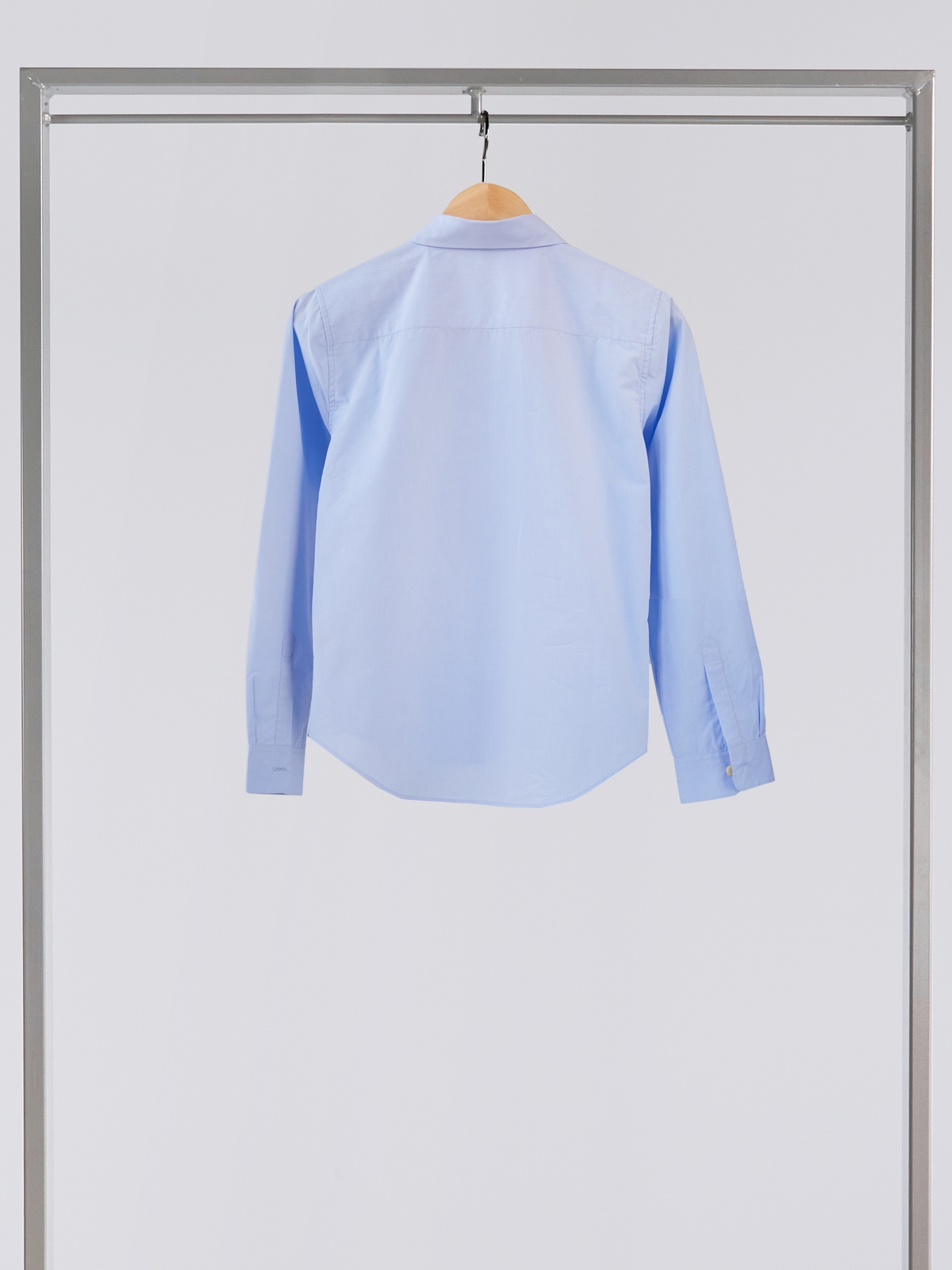 Crocodile Blue